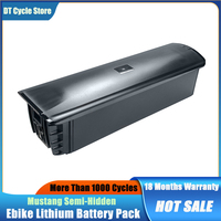 Backup Part Lithium Battery Pack 48V 14Ah 672Wh for 500W RICH BIT TOP-520 CYSUM M520 29inch Electric Mountain Bike