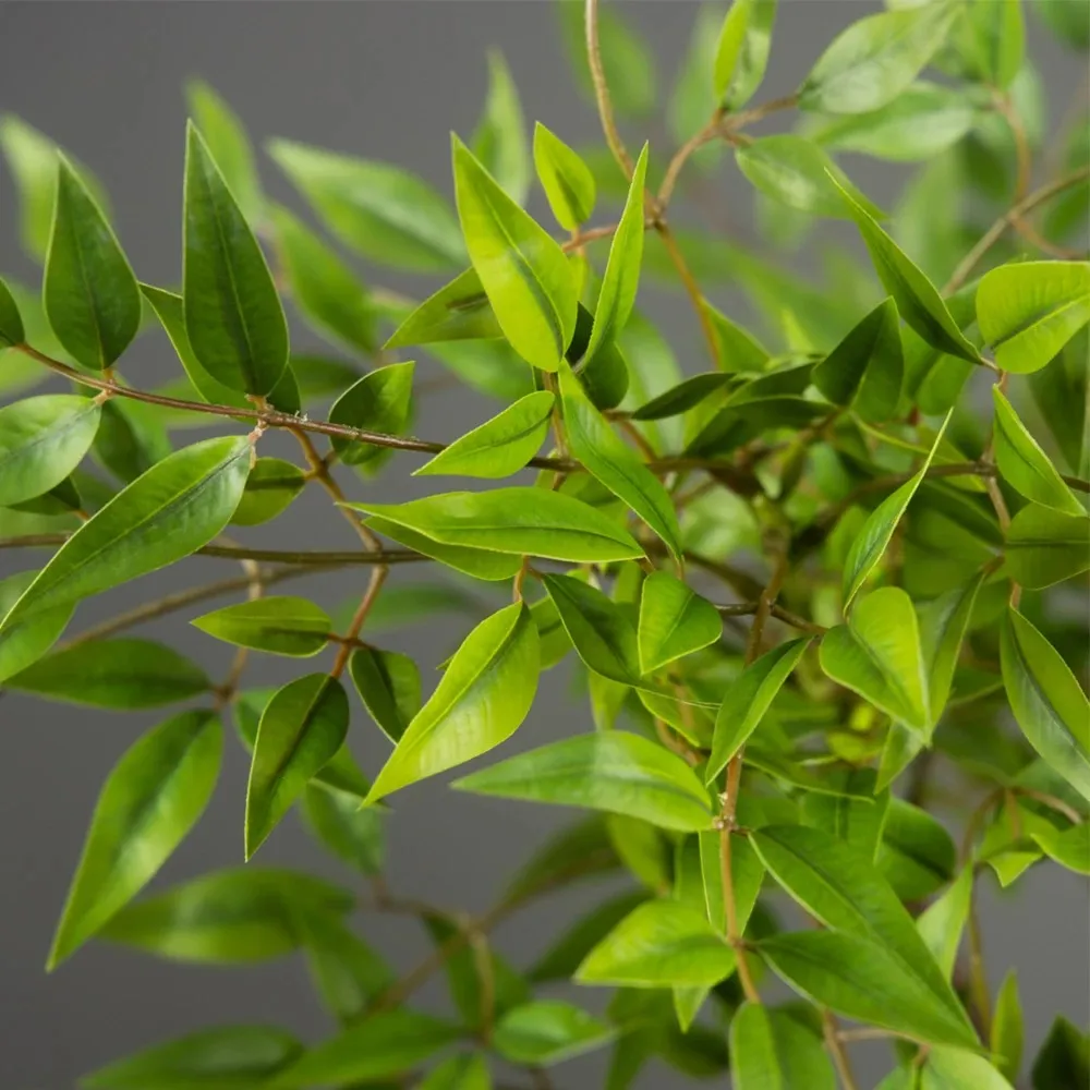 Planta Artificial de Nandina de 75-110 cm de Altura, Ramas de Palmera Tropicales Artificiales, Hojas de Bambú Verdes, Decoración para el Hogar, Jardín y Oficina, Plástico Artificial