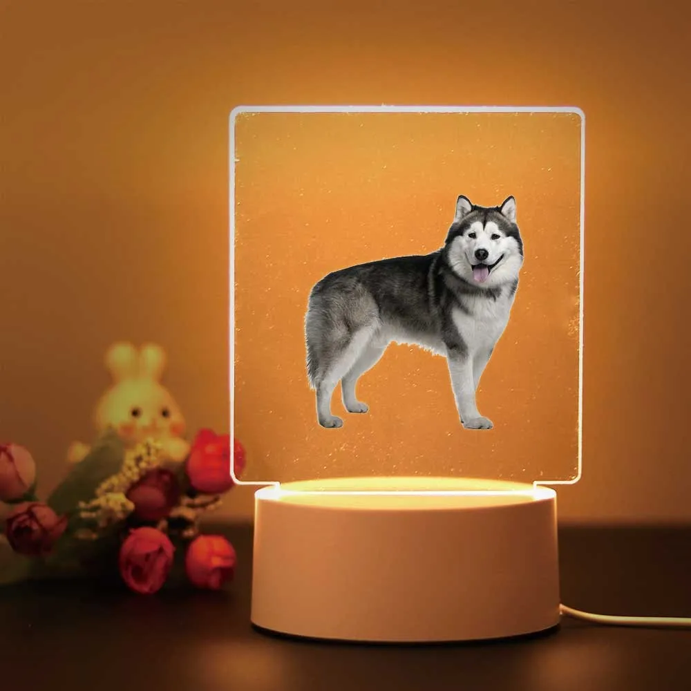 Lámpara 3d acrílica para perro, decoración para habitación de niños, luz nocturna Huskies, regalo de cumpleaños para niños, 1 ud.