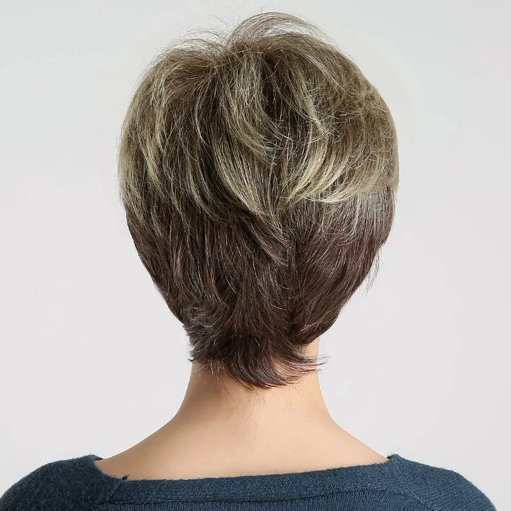 Hagen Ombre Brown Blonde Synthetic Wig Short Bouffant Wig Lady's Black Hot Silk Holiday Party Daily Wear Full Head Cover