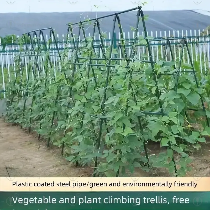 

"Sturdy Growth" 20Pack Multi-Purpose Plant Support Stakes - Durable Vegetable & Vine Trellis For Tomatoes, Cucumbers, Grapes