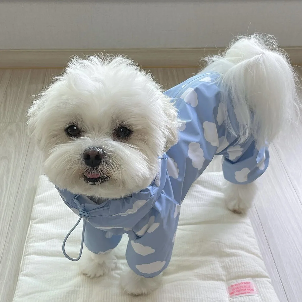 Cute Love Dog Raincoat Tpu Thickened Waterproof coat Puppy Hooded Four-Legged Coat Dog Clothes All-Inclusive rainclothes fo