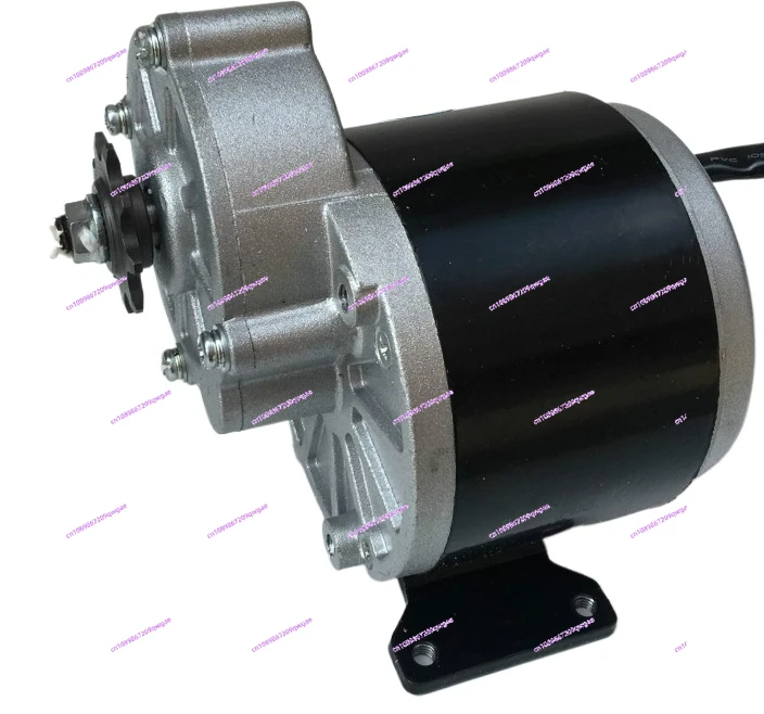 Permanent Magnet DC Brushed Reduction Motor MY1016Z3-350W36V24V Electric Tricycle Accessories