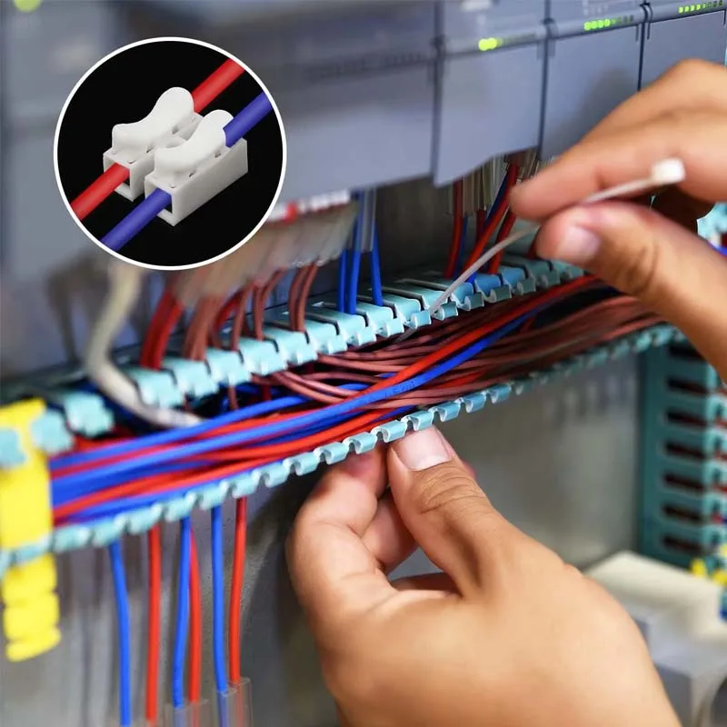 50pcs Push Quick Wire Cable CH2 Connector 10A 220V 2 Pin Push-in Spring Loaded Electrical Connectors for Lighting Electrical