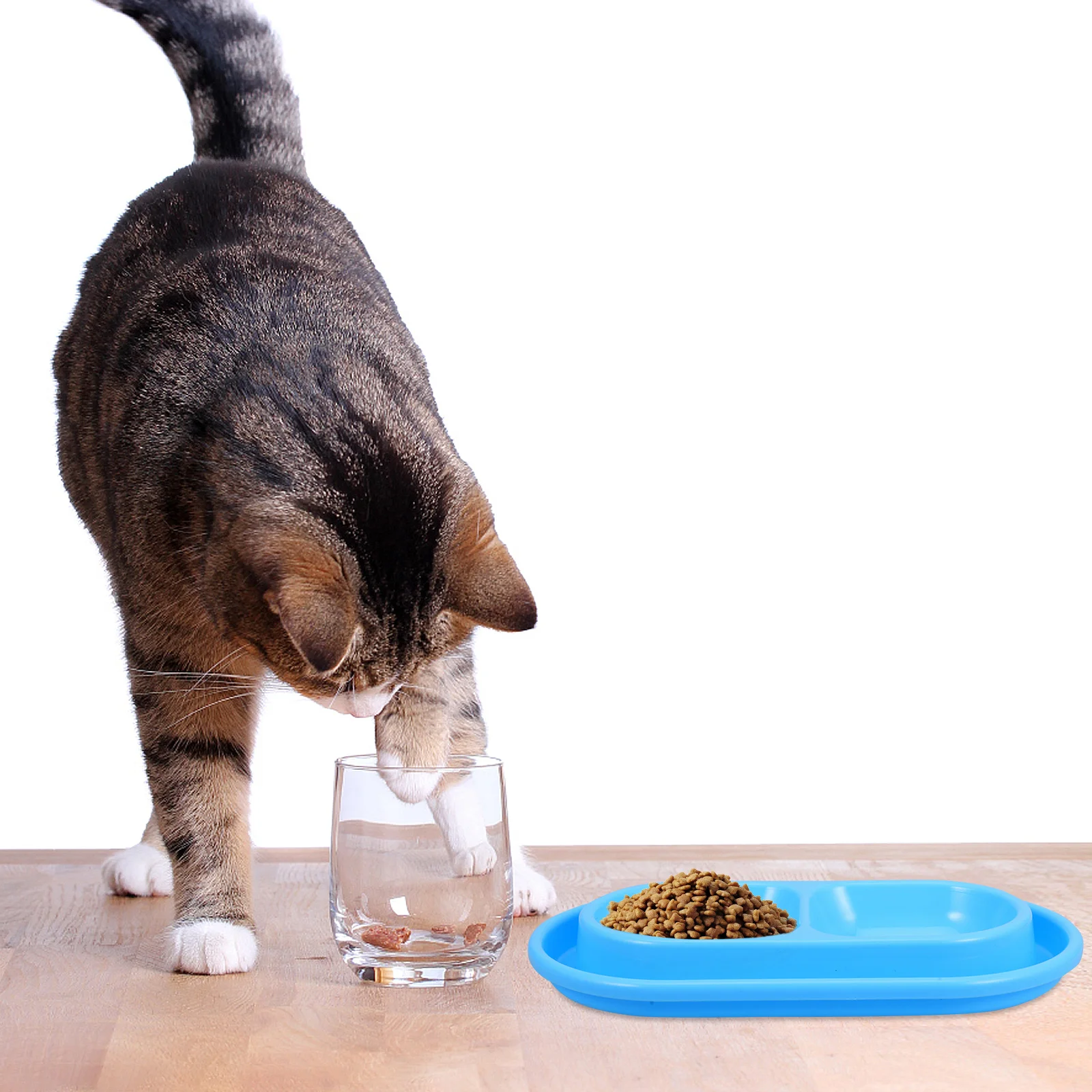 

Anti-ant Cat Bowl Resistant Food Ants Design Proof Dog Automatic Pet Bowls Pp Tray Away