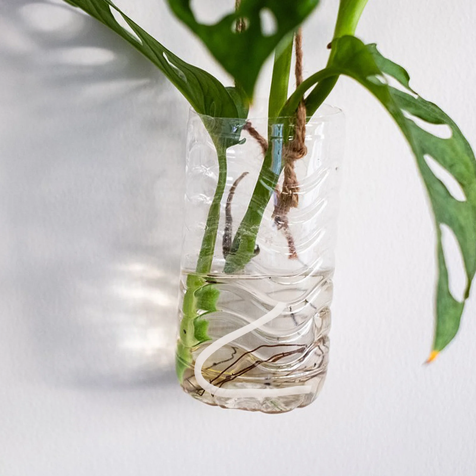 

Automatic Wick Cord Absorbent Cotton Rope For Potted Plants Fast Absorption Self System - Hydroponic