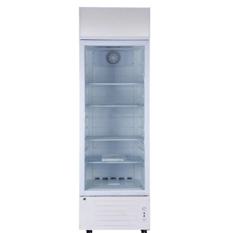 Solar refrigerated display cabinet DC12/24V refrigerator freezer foreign trade freezer refrigeration green energy saving wholesa