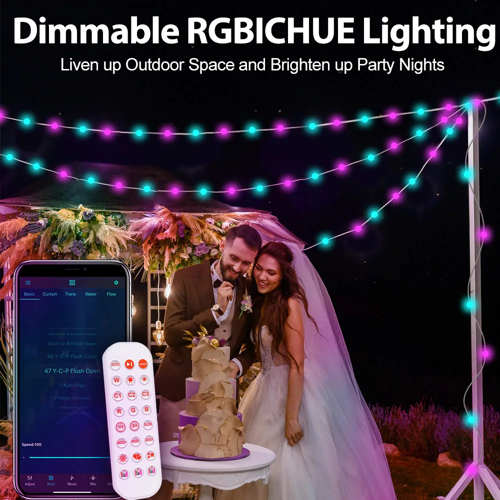 LED Strip Light RGBIC Light String Christmas Lights Dimmable Support Alexa Google Home Outdoor Garden Wedding Decoration