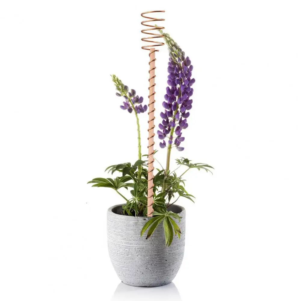 Plant Growing Accessories Easy Installation Plant Stake 6pcs Coil Plant Stakes Electroculture Gardening Antennas for Easy