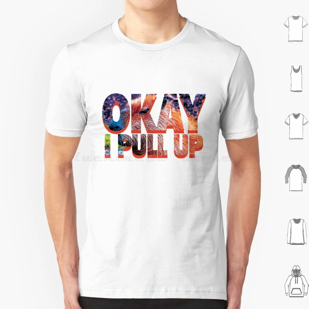 Okay I Pull Up Capybara Meme T Shirt Big Size 100% Cotton Capybara Cute Rodent Animal Funny Animals Capybaras Guinea Pig
