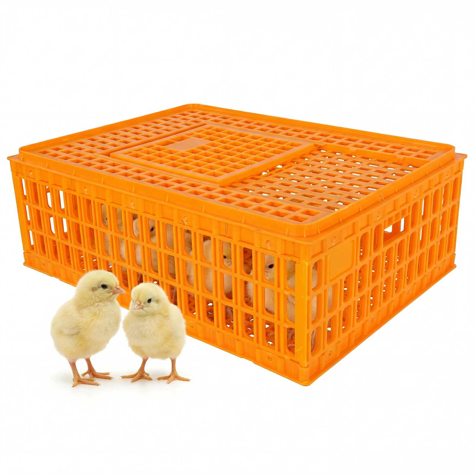 Chickens Carrier Tr… - image