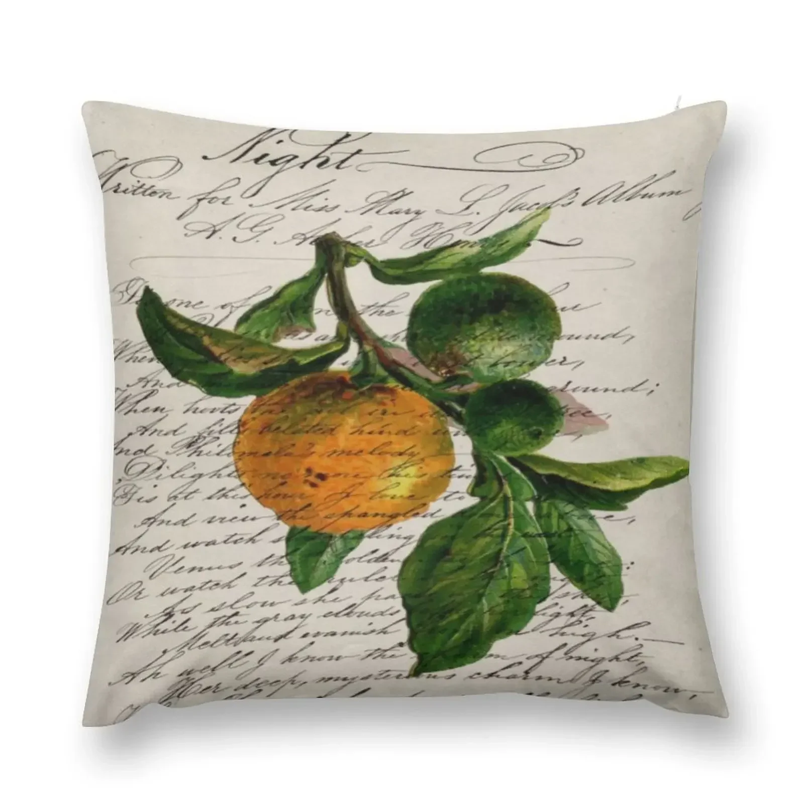 scripts Shabby French botanical print mandarin orange Throw Pillow Pillow Decor Pillow Case