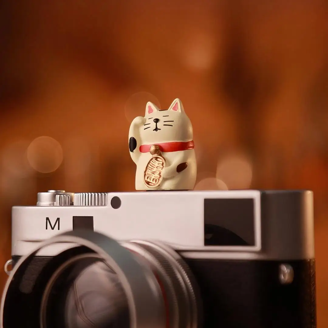 Niedliche Katzen Universal Blitzschuhabdeckung für Leica Q2 Q3 Fuji X100V X-T5 Sony ZV-1 ZV-E10 Canon EOS R5 Nikon Z5 Kamera-Zubehör