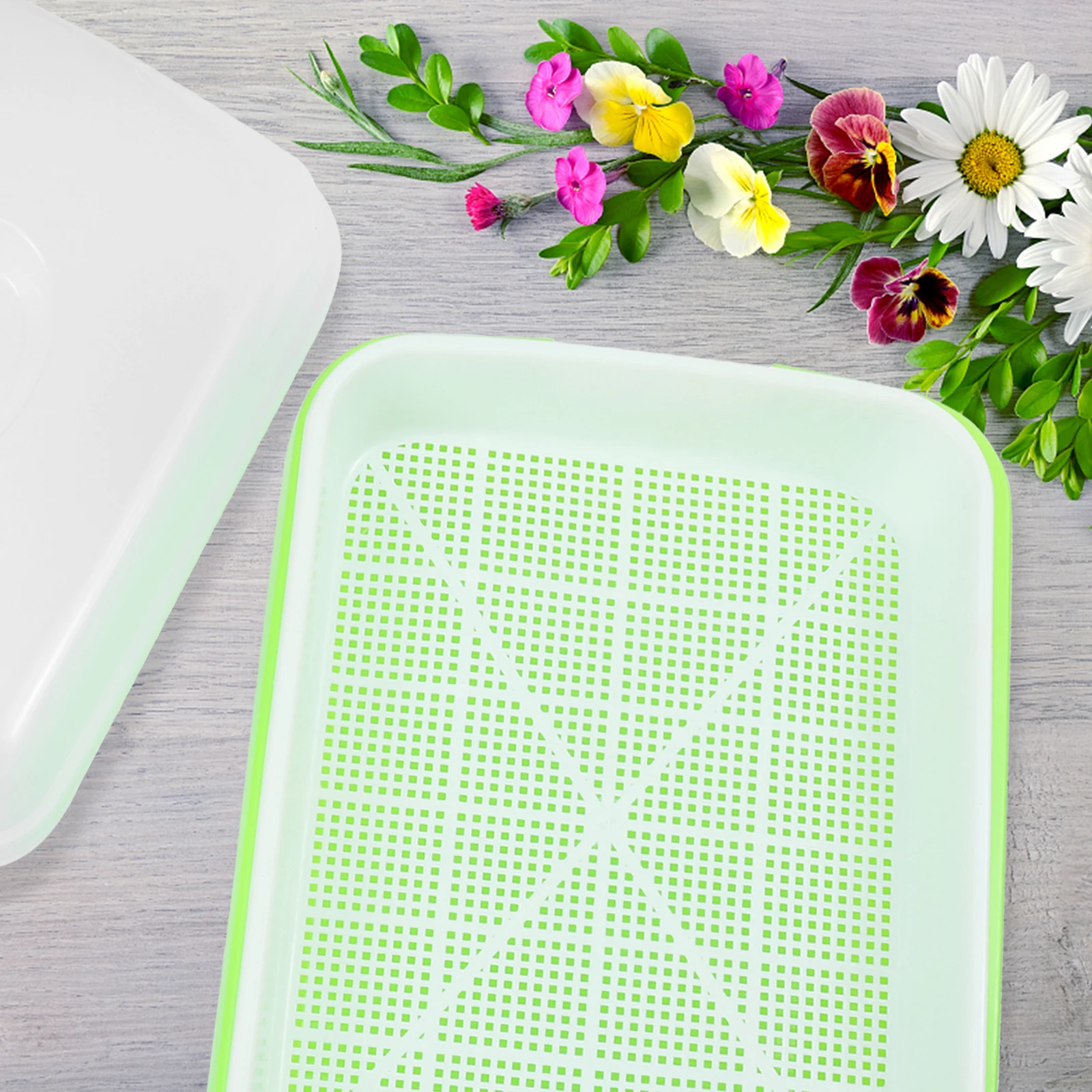 

Plastic Germination Tray Sprouting Kit Hydroponic Basin Nursery Pot Reusable Recyclable Space Saving Root