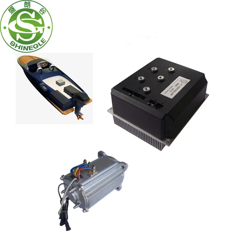 SHINEGLE-Motor de cubo de coche eléctrico, alta torsión, 6000rpm, 3kW, 48v, Elektrikli, Otomobil, a la venta