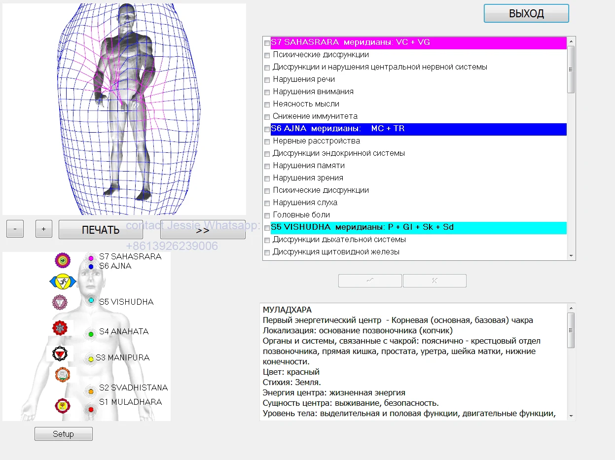 Russian software 12D NLS Bioresonance Aura Diagnose Nonlinear Analysis System Health Scanning Therapy Goods Analysis