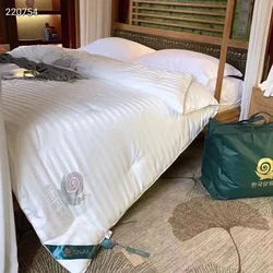 100% Mulberry Silk Quilt Healthy Beauty Handwork Silk Comforters Duvet Silk Filled Double Queen King Quilt 1PCS Durable Bedding