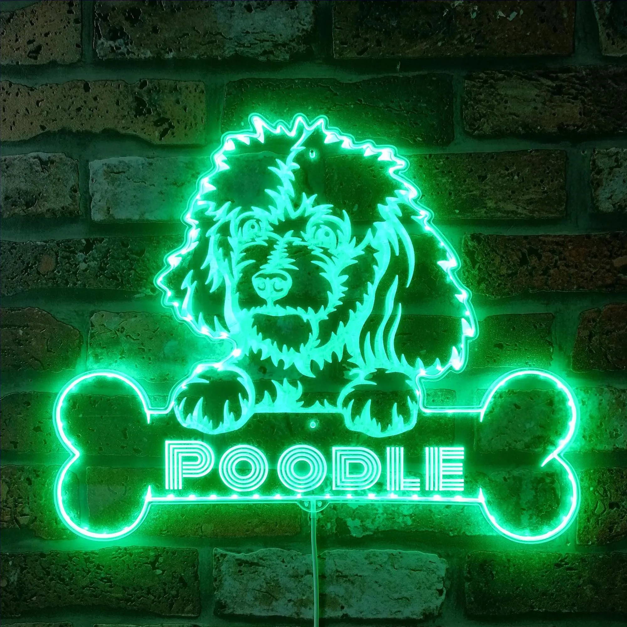 Name Personalize Poodle Glam Led Neon Sign st06-fnd-p0074-tm