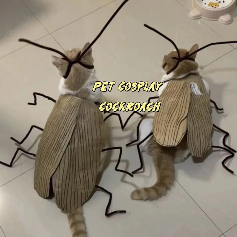 

Pet cat cosplay cockroach funny props cat clothes diy handmade creative material package, popular Internet celebrity style,