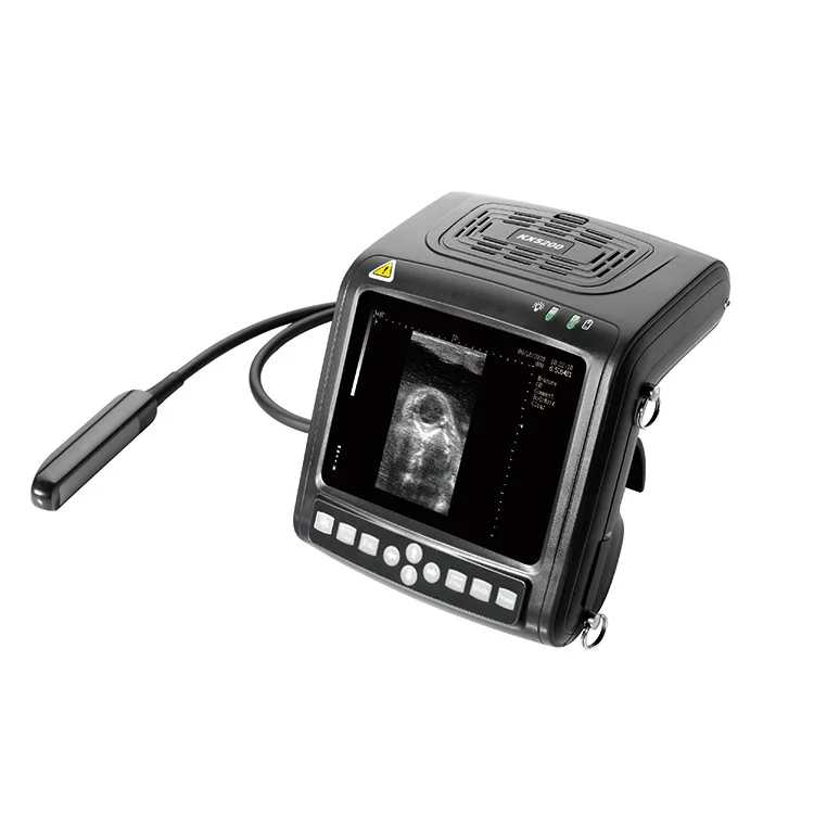 Vet Ultrasound Scanner Portable Laptop Animal Ultrasound  Machine vet Handheld Ultrasound For Cows And Pigs