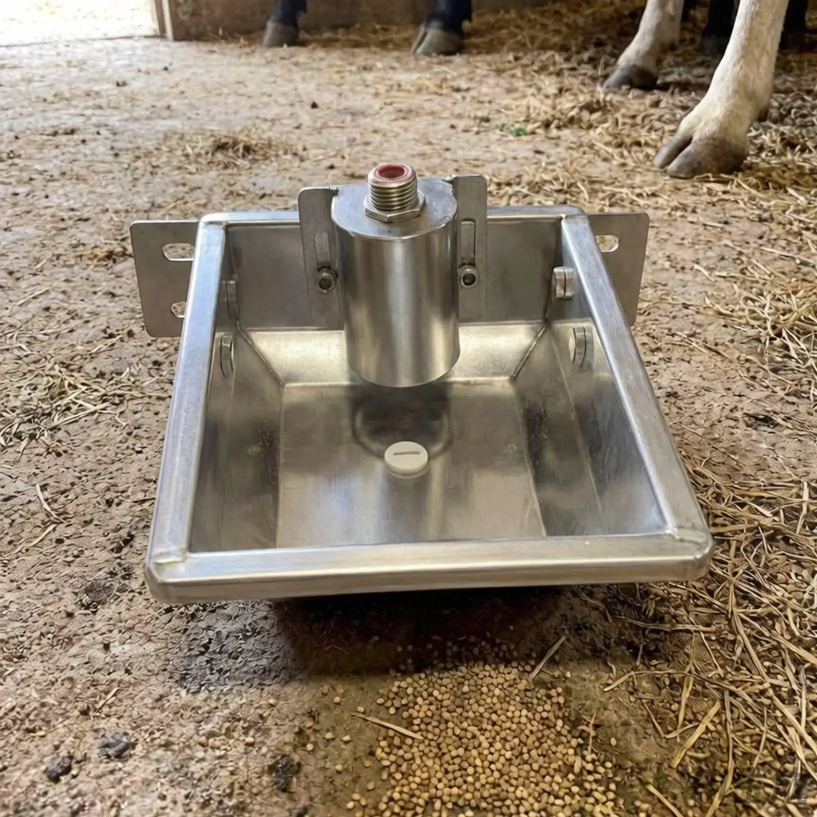 Livestock Drinking Vessel Automatic Water Bowl Float Valve Stainless Trough for Chicken Horses Goats Sheep Cattle Farming