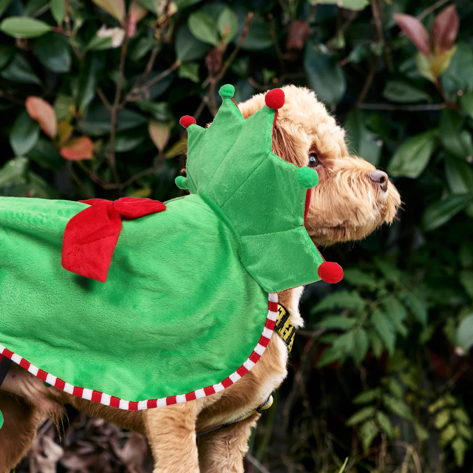

Pet Christmas Costume Elf Hooded Cape for Cats and Small Dogs Cozy Winter Holiday Outfit Festive Pet Dress Up Party Apparel