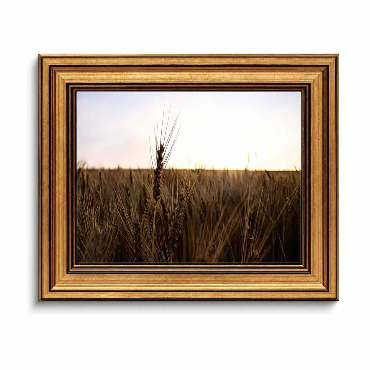 Framed Canvas Wall Art, Golden Wheat Field Sunset Landscape Print Rustic Farmhouse Country Living Room Home Wall Decor