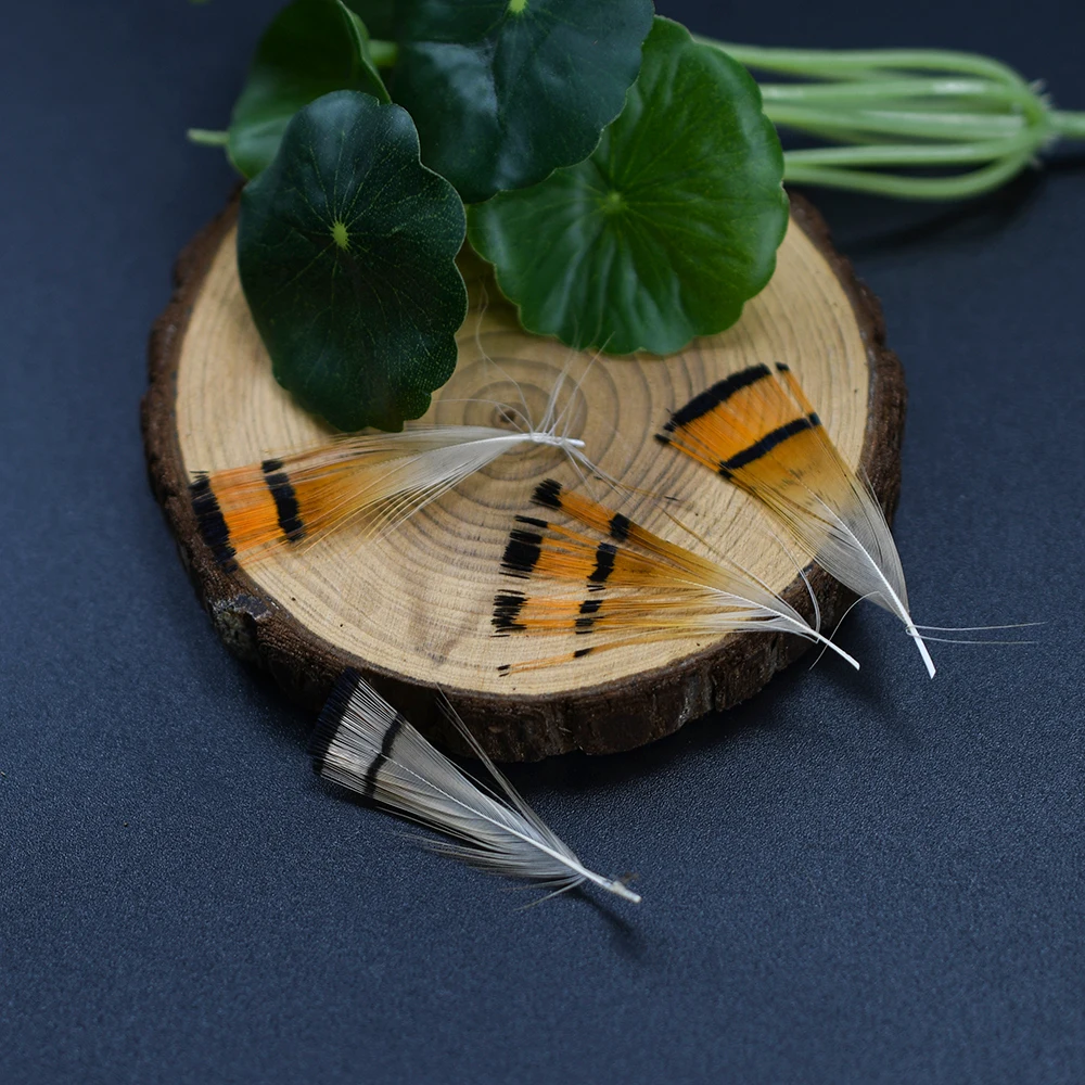 MNFT 50 قطعة رأس الدراج الذهبي الطبيعي كريست وريش الجسم أجنحة متنوعة ومواد ربط الذيل صيد الذباب