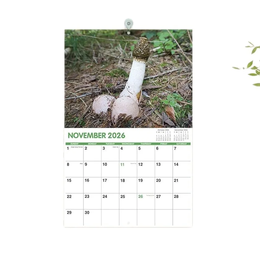 2026 Calendar Decorative Cactus Calendar Cactus Prank Calendar with 12 funny cactus illustrations Office decor gift