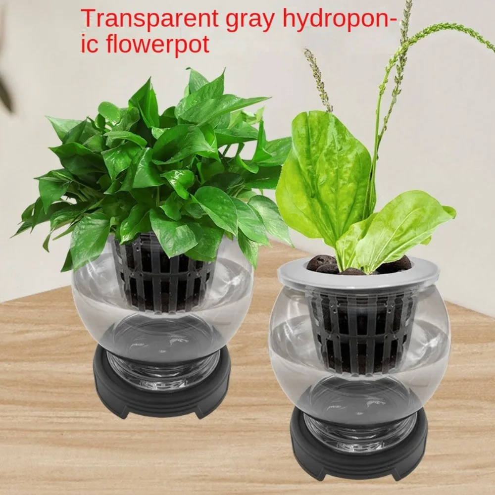 2Set Self Watering Self-absorbing Flower Pots Transparent Vase Plastic Bamboo Planter Pots Succulents Waterless Cultivation