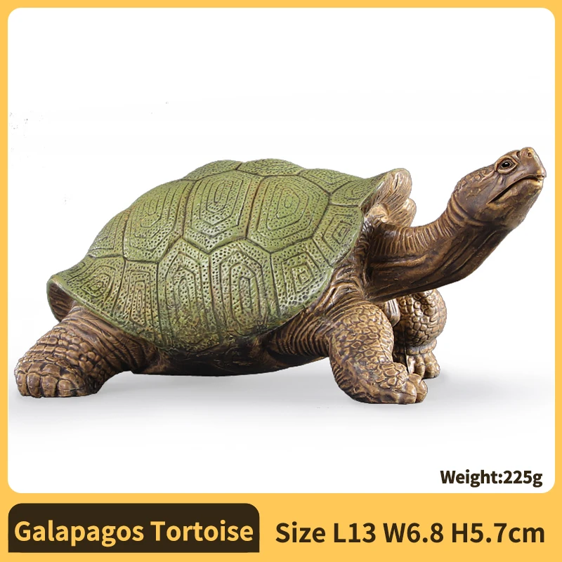 PVC-schildpadfiguren Dierenvorm Gedetailleerde sculptuur Ster-schildpadmodelfiguren Actiefiguren Voor educatief doel