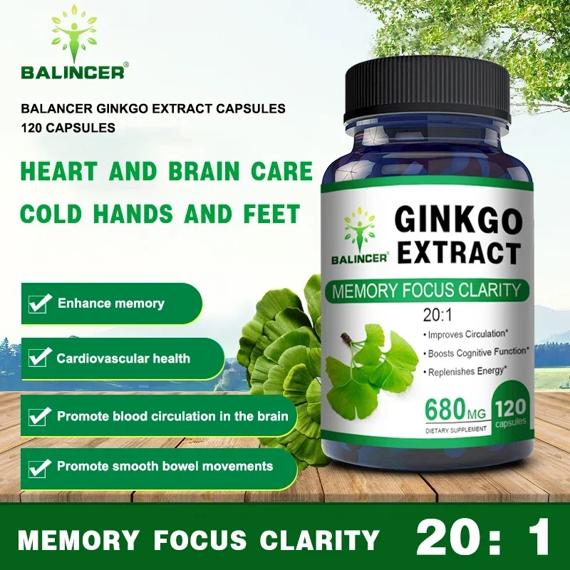 

Ginkgo Biloba Extract Capsules for Memory Focus Supplement - Energy Boost, Improves Blood Circulation Non-GMO, Gluten-Free