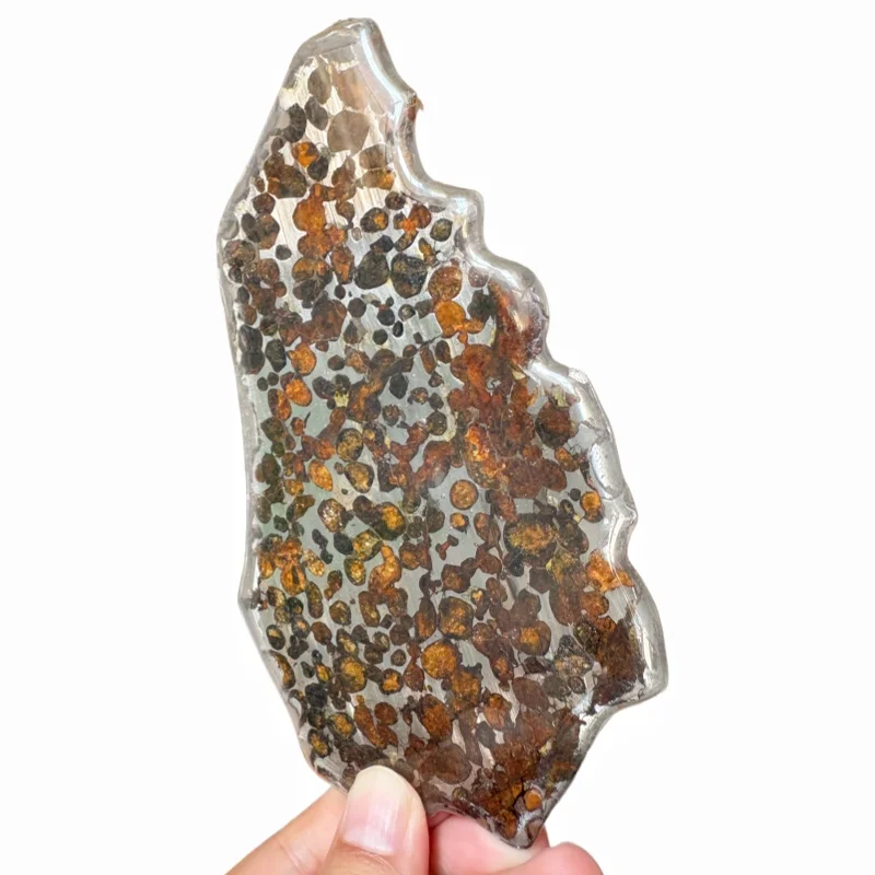 Sericho Pallasite Meteorite Polished Irregular Slice Natural Olivine Grain Space Rock Collectible Ornament QA873