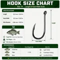 Size 7
