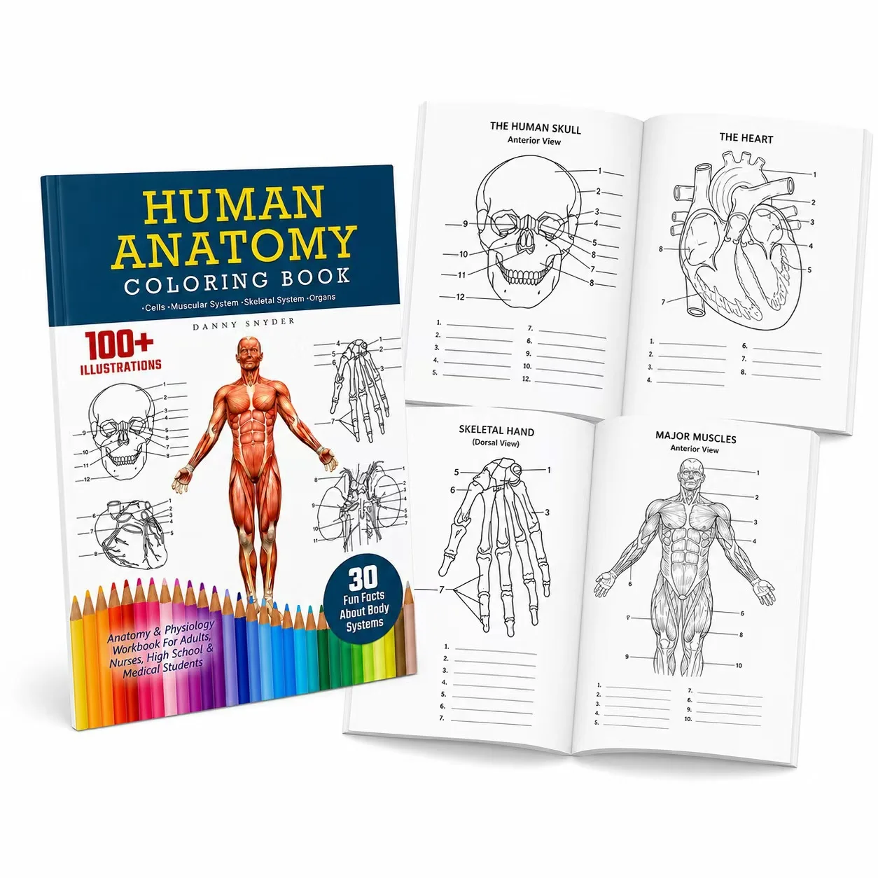 Coloring Book Hardcover Woodfree Paper for Medical Study Nursing Students Human Body Structure Workbook Educational Book