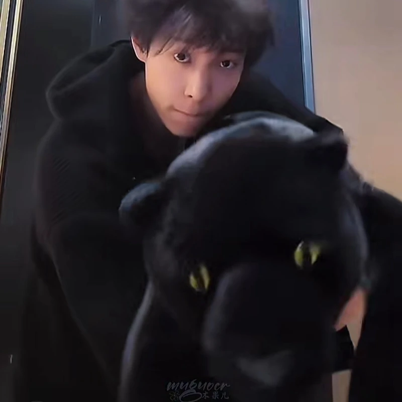 

Soft Fluffy Black Panther Body Pillow Cute Stuffed Panther Plush Toy Ideal for Sleeping, Napping and Holiday Presents.