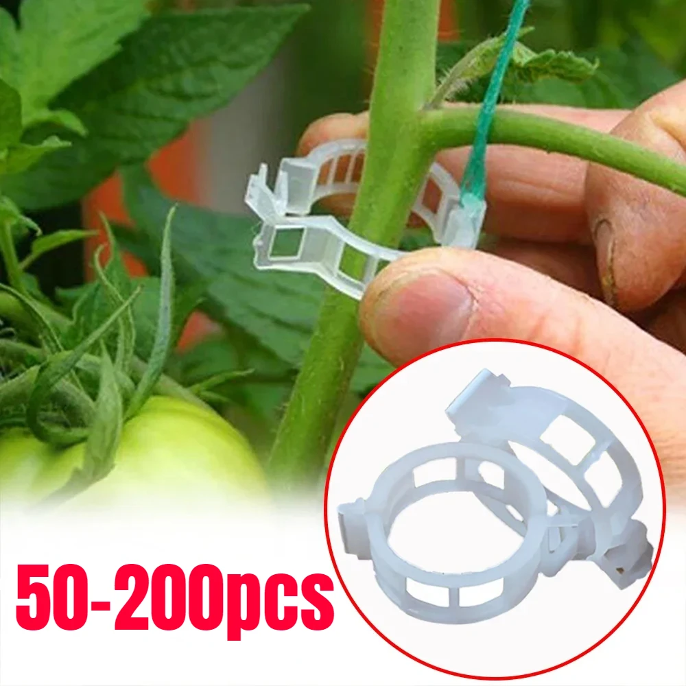 50-200 Stuks Plastic Plant Ondersteuning Clips Herbruikbare Plant Wijnstok Verbindt Fixatie Gereedschap Groentetomaat Enten Beschermen Tuinbenodigdheden