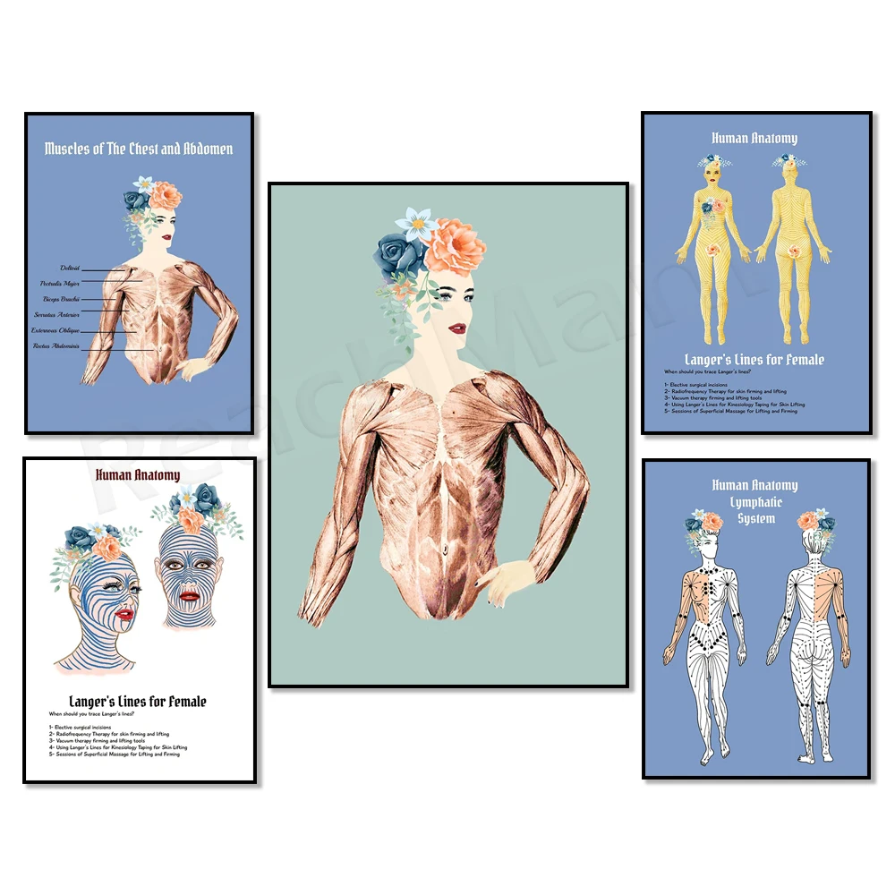 Massage therapist gift, massage therapy, gua sha firming skin, anti wrinkle line, body sculpting poster, skin lift