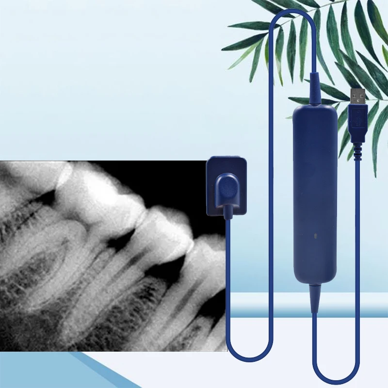 Dental Sensor With Holder Faster/Recycle/Durable USB Dental X Ray Sensor Intra Oral Camera Digital RVG Sensor