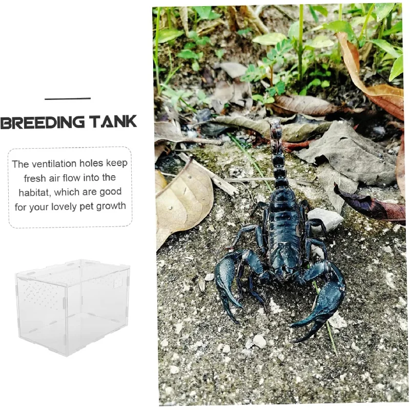 Lucartos, escorpiones, serpientes de maíz, arañas, accesorios para mantener el palacio, forma cuadrada, caja para mascotas trepadora ensamblada acrílica transparente