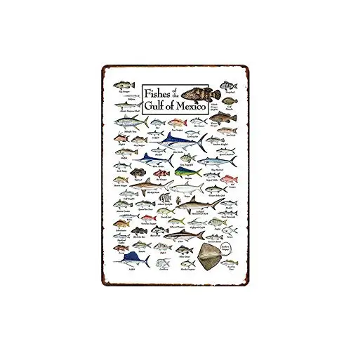 Новый Винтажный металлический жестяной знак «рыбы Мексики» Ретро гараж Двор Дом Кафе бар клуб гостиница настенное украшение Наклейки знаки 12x8 дюймов