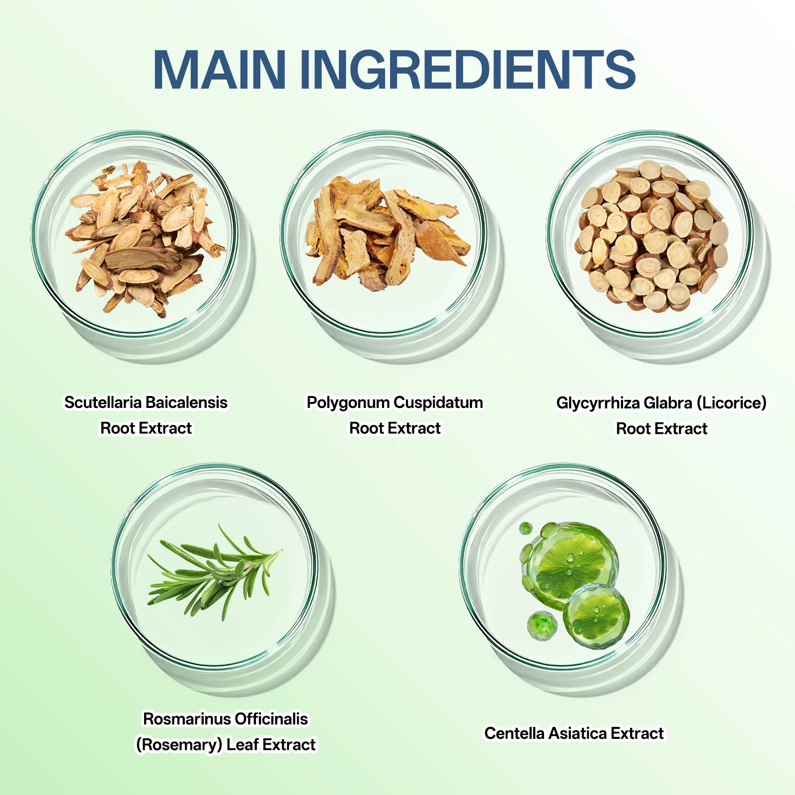 كريم ترطيب إضافي القوة 50 جرام - مع مستخلص جذر كينتيللا اسياتيكا وعرق السوس للترطيب العميق وتحسين البشرة الجافة