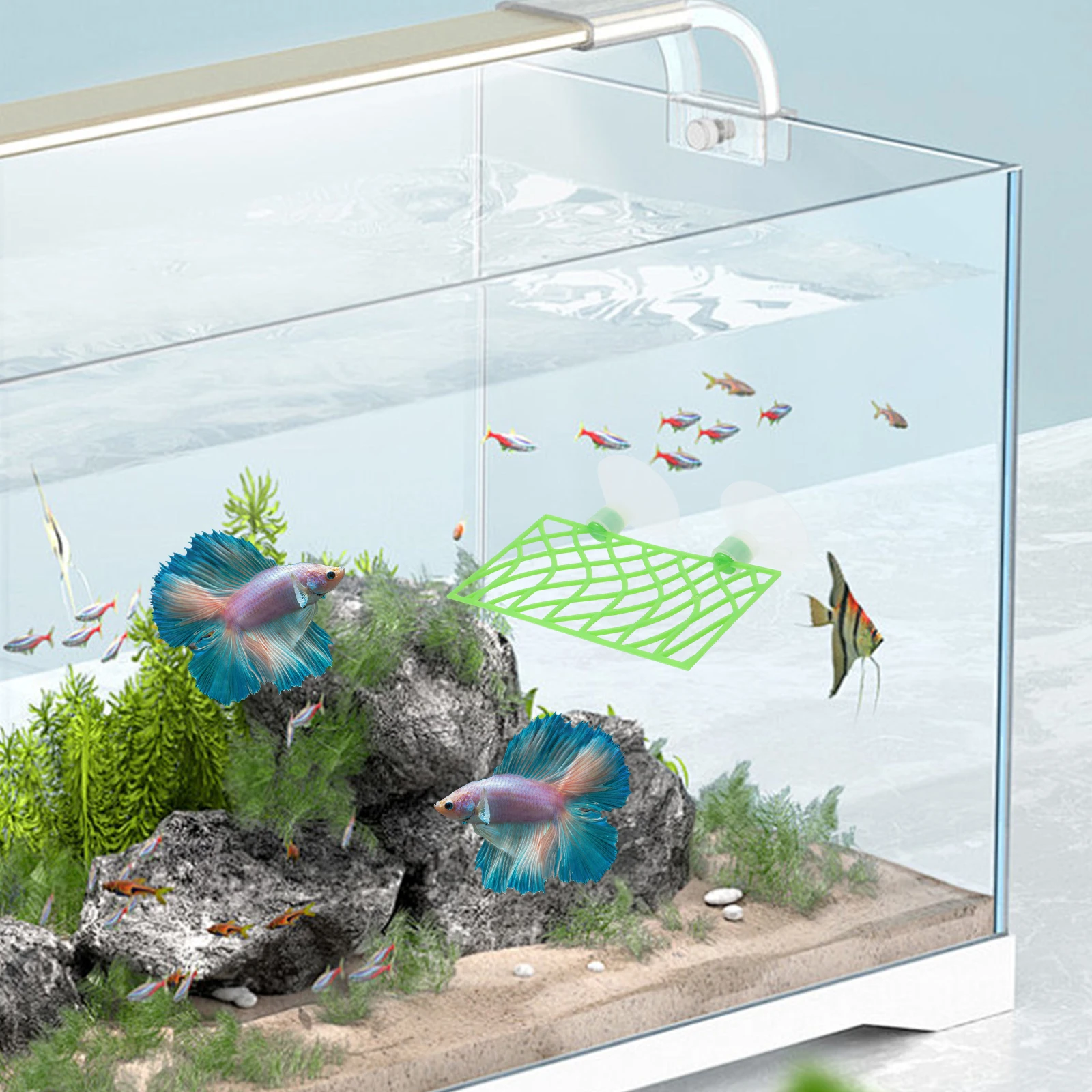 

Fish Tank Decor Betta Tunnel Hideaway Aquarium Ornaments Unique Design Safe Resting Space Multifunctional Use ABS Material Easy