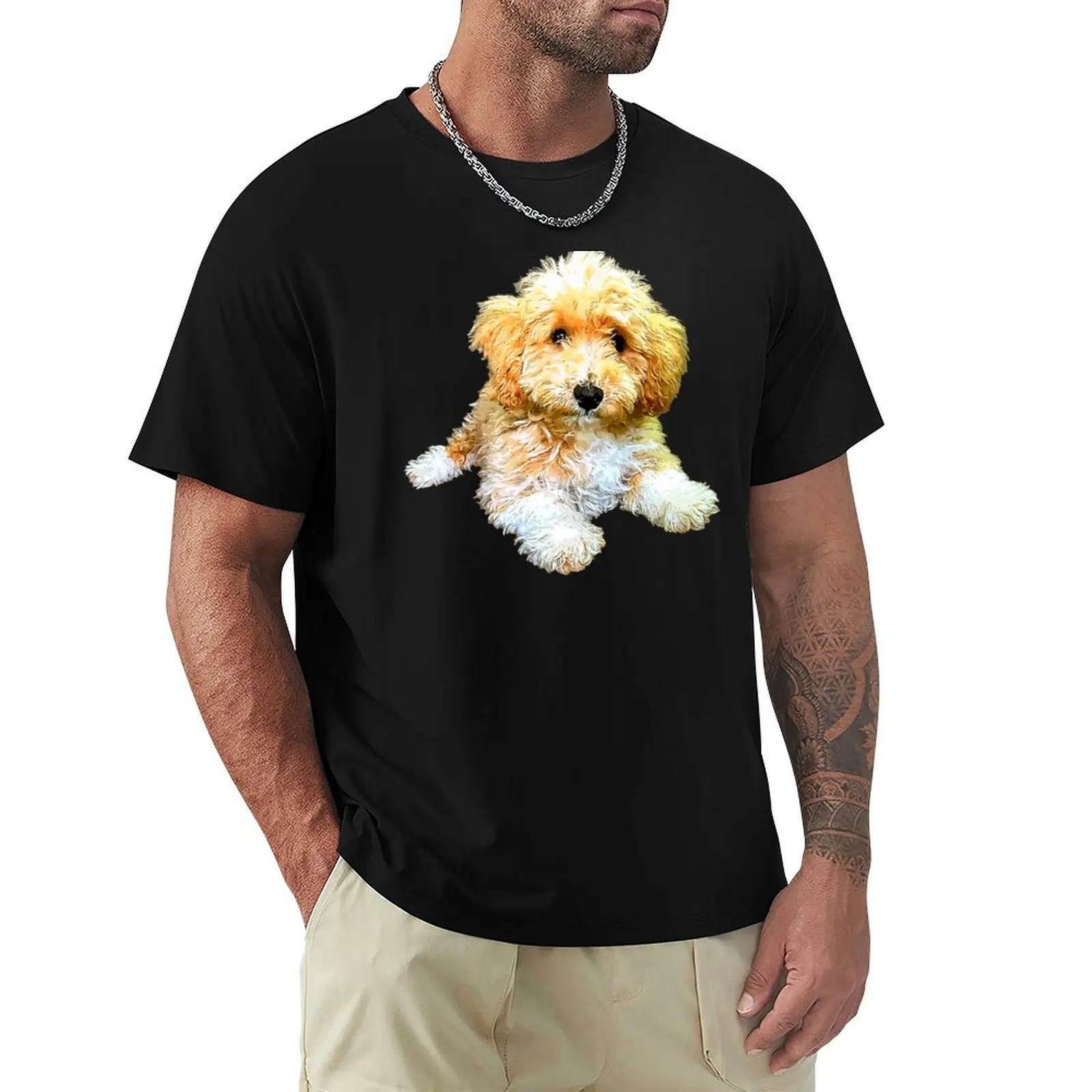 

Golden doodle labradoodle cavoodle cavapoo poodle mix T-Shirt summer top shirts graphic tees anime shirts men