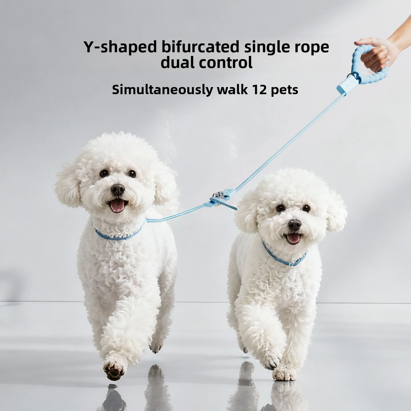 

Double Ended P Chain Leash for 2 Dogs, 1.8M Tangle Free Rope, Dual Limit Anti-Escape Buckle, One Hand Control, All Dogs