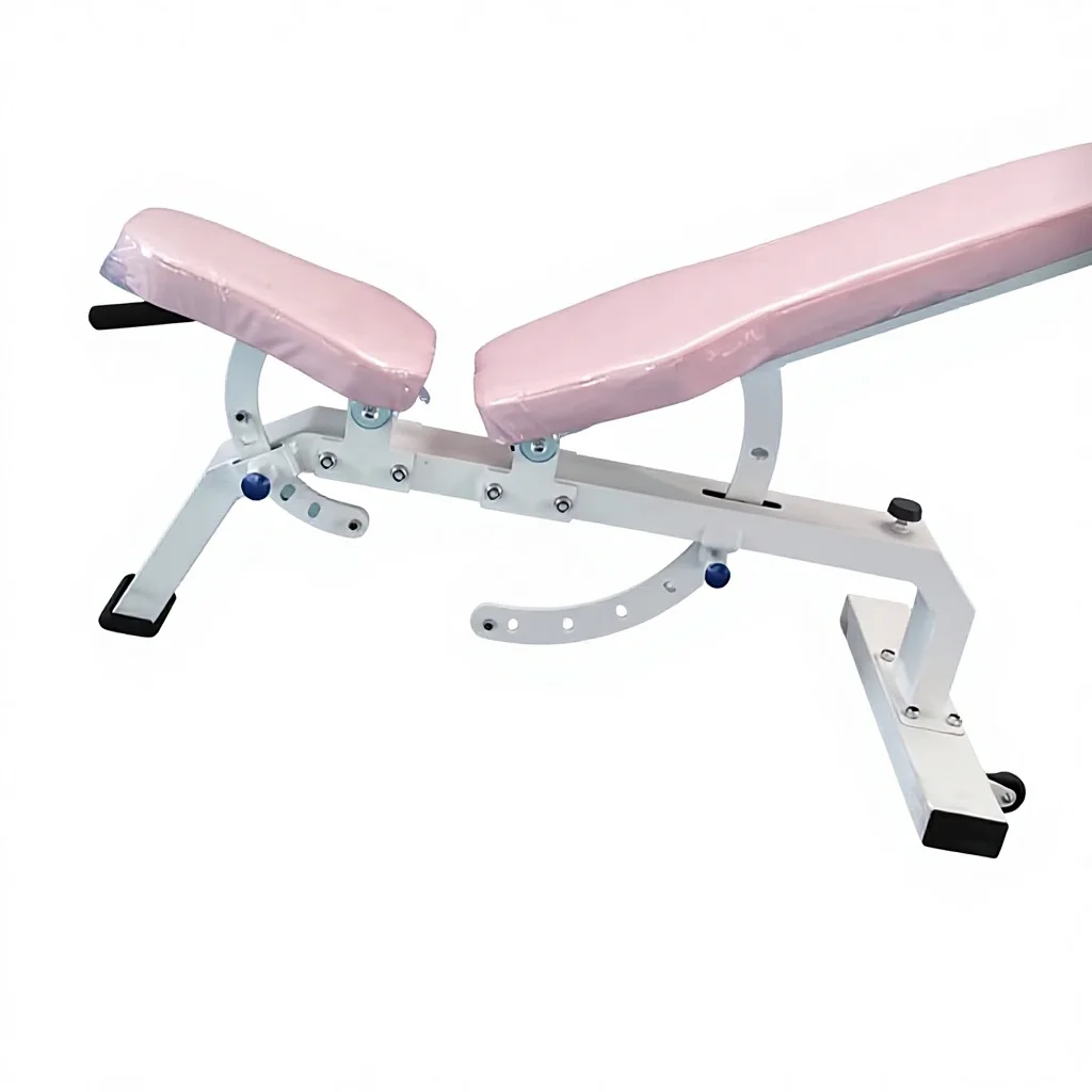 Adjustable Dumbbell Weight Bench Modern Style Gym Bench Press Incline Flat Exercise Metal Safety & Durable