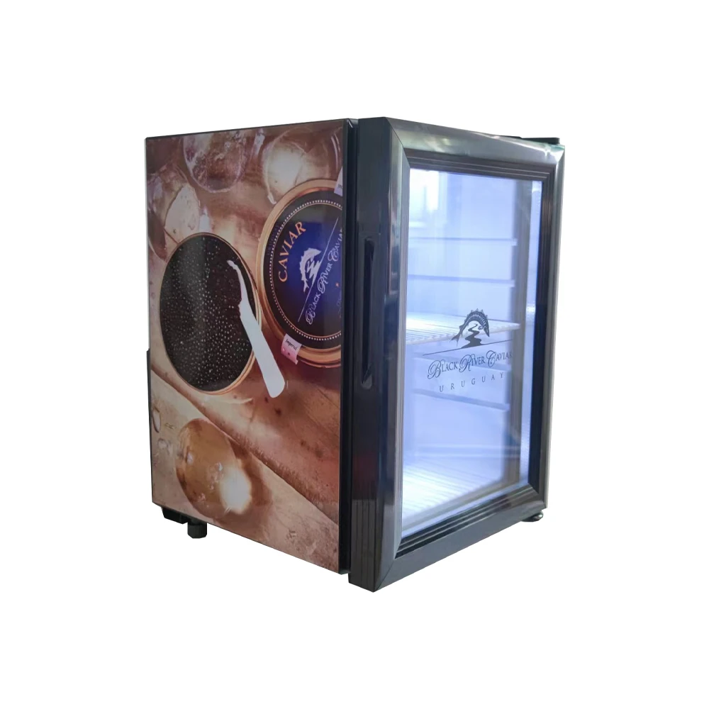أفضل قيمة الصين الوحش شرب عرض الطاقة الثلاجة الصين 21l متجر صغير تستقيم ثلاجة الكافيار
