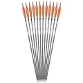 12pcs Orange