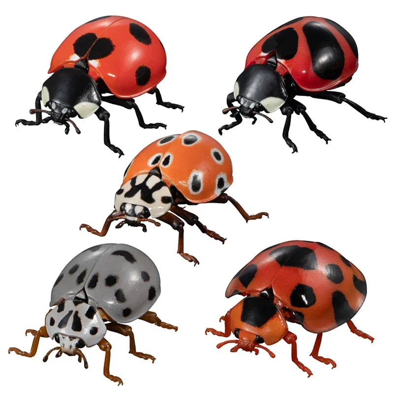 

Genuine Gacha Scale Model Biological Cognitive Model Seven Spotted Lady Beetle Artificial Action Figure Toys