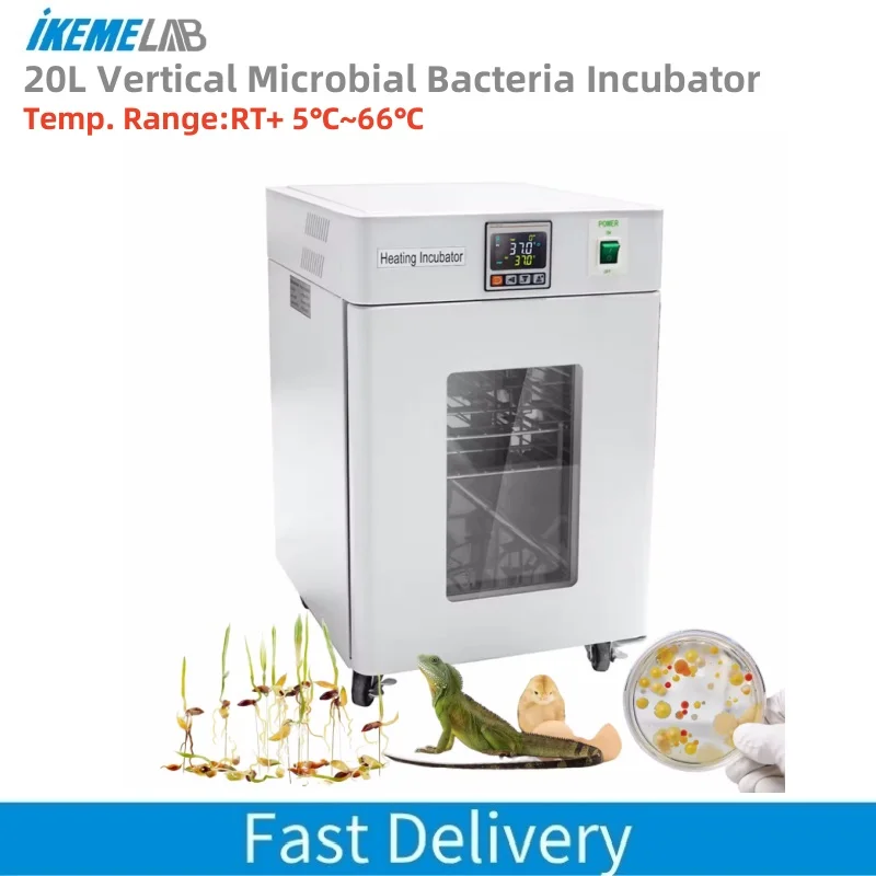 IKEME 20L Biological Indicator Incubator Thermostatic Laboratory Incubator Vertical Microbial Bacteria Incubator Drying Oven